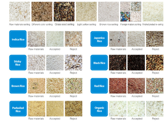 Sortieuse de couleurs de riz Dreamplus, haute précision 99,99%