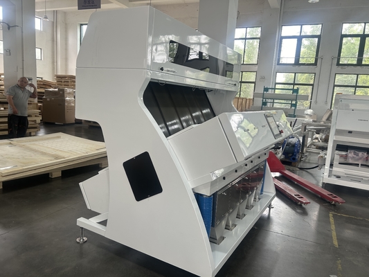 Le maïs de RVB 5400 sème la Manche de la machine 320 de trieuse de couleur