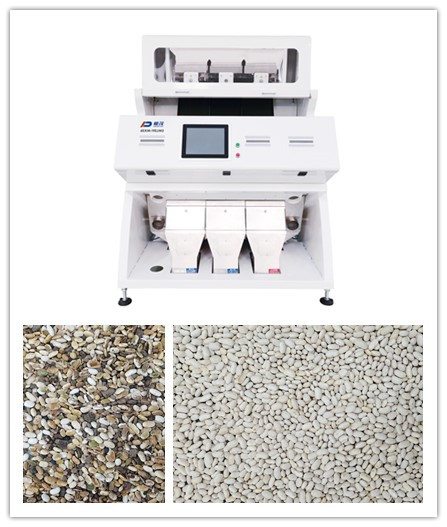 Équipement de tri optique de 5400 du pixel RVB haricots blancs de CCD 3 descendeurs