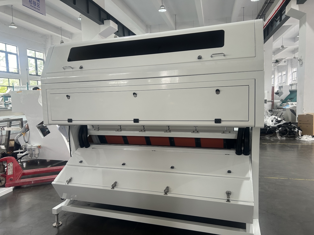 Le maïs de RVB 5400 sème la Manche de la machine 320 de trieuse de couleur